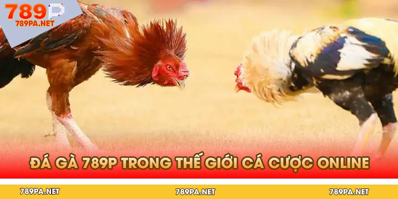 Đá Gà 789p Trong Thế Giới Cá Cược Online